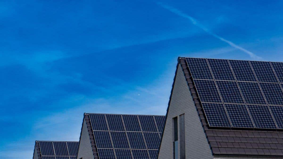 Renting Your Leads from Meta and Google? Why Solar Installers Are Adding Letters to the Mix